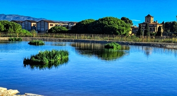 Reus - detall Basses del Pedret - Baix Camp / Reus - detall Basses del Pedret - Baix Camp