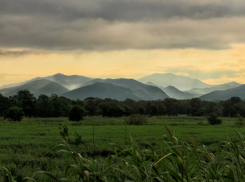 Dawn in the mountains / ***