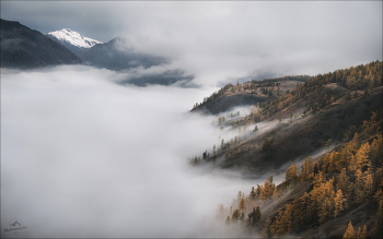 Parallel World / ***