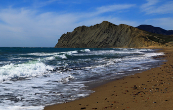 Cape Chameleon / ***