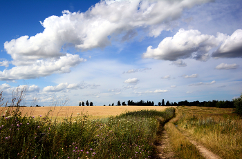 expanse of summer / ***