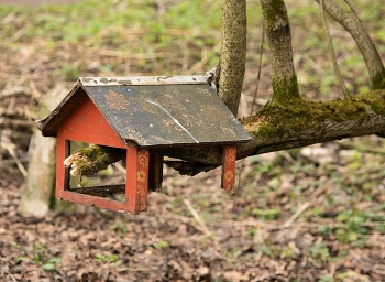 without a bottom / ***