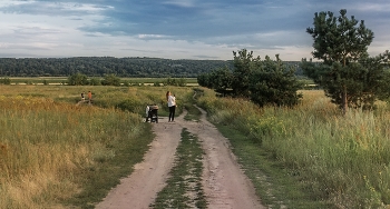 near Moscow evening / ***
