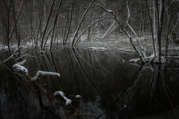On the edge of the swamp. / ***