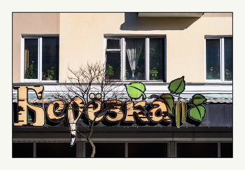 The smell of spring / ***