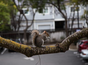 view from the window / ....