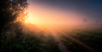 The day begins / ***