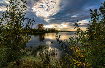 Evening on the lake / ***