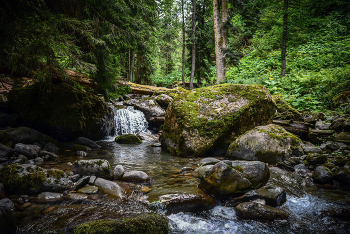 Mountain stream. / ***