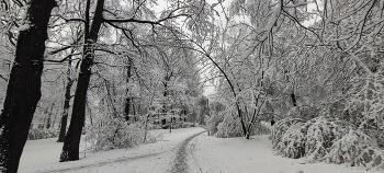 Moscow snowfall / ***