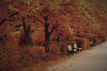 Golden Autumn / ***