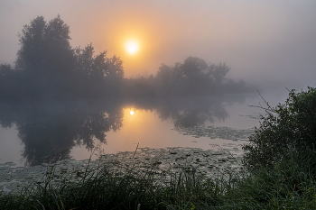 In the fog. / ***