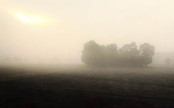 Morning ... / ***