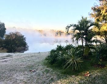 Morning fog / Sunrise in the tropics