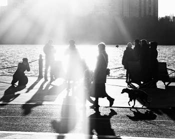 Sunbathing / ***