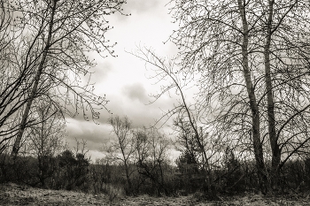 Spring / ***