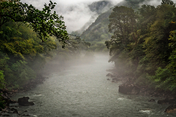 Morning fog. / ***