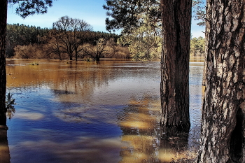 High water / ***