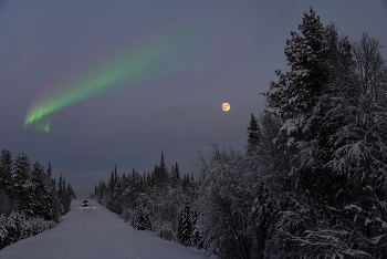 The Arctic Circle / ***