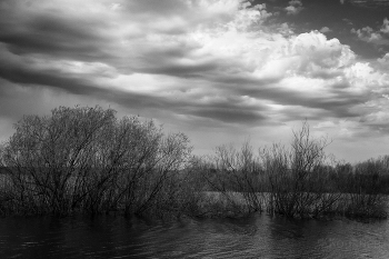 On the lake / ***