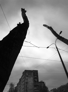 Dialogue / ***