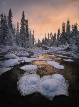 In the morning on the river / ***