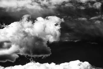 Life around / ***
