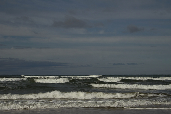 Surf / ***