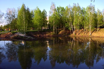 Landscape / ***