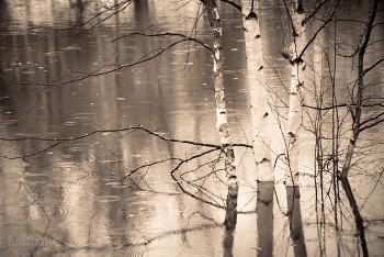 High water / ***
