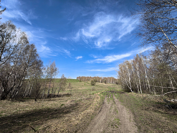 Spring road / ***