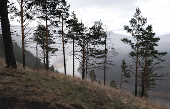 It's time to fog / ***