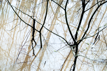 Geometry / ***