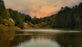 Forest Lake. / ***