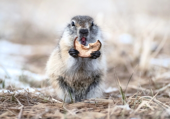 delicious! / ***
