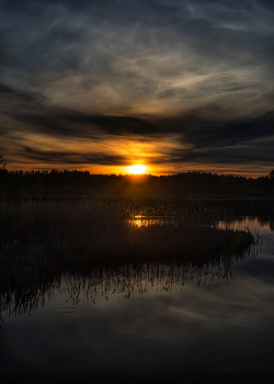 May sunset / ***
