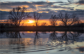 Landscape / ***
