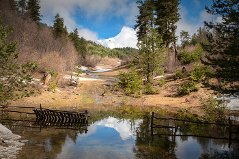 Spring Puddle / ***