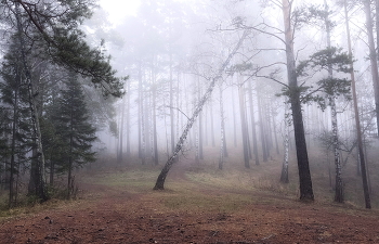 Morgennebel / ***