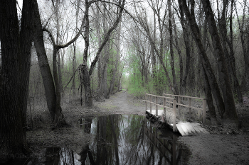 Walk / ***