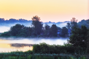 Foggy morning / ***
