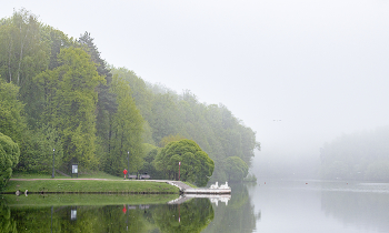 Fog dissipates / ***