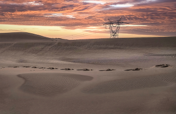 Paint Desert / ***