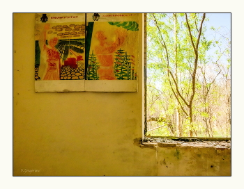 &nbsp; / ***