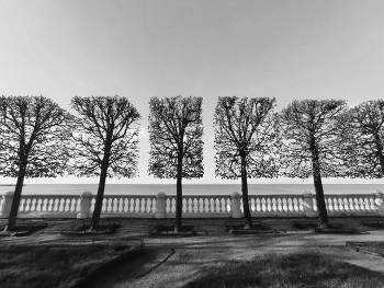 Peterhof / ***