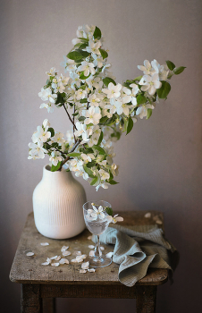 Apple blossoms ... / ***