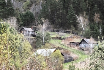 Siberian backwoods / ***
