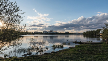 Spring on the lake / ***