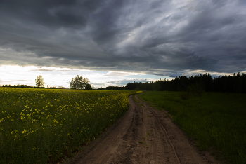 The road / ***