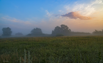 Early morning. / ***
